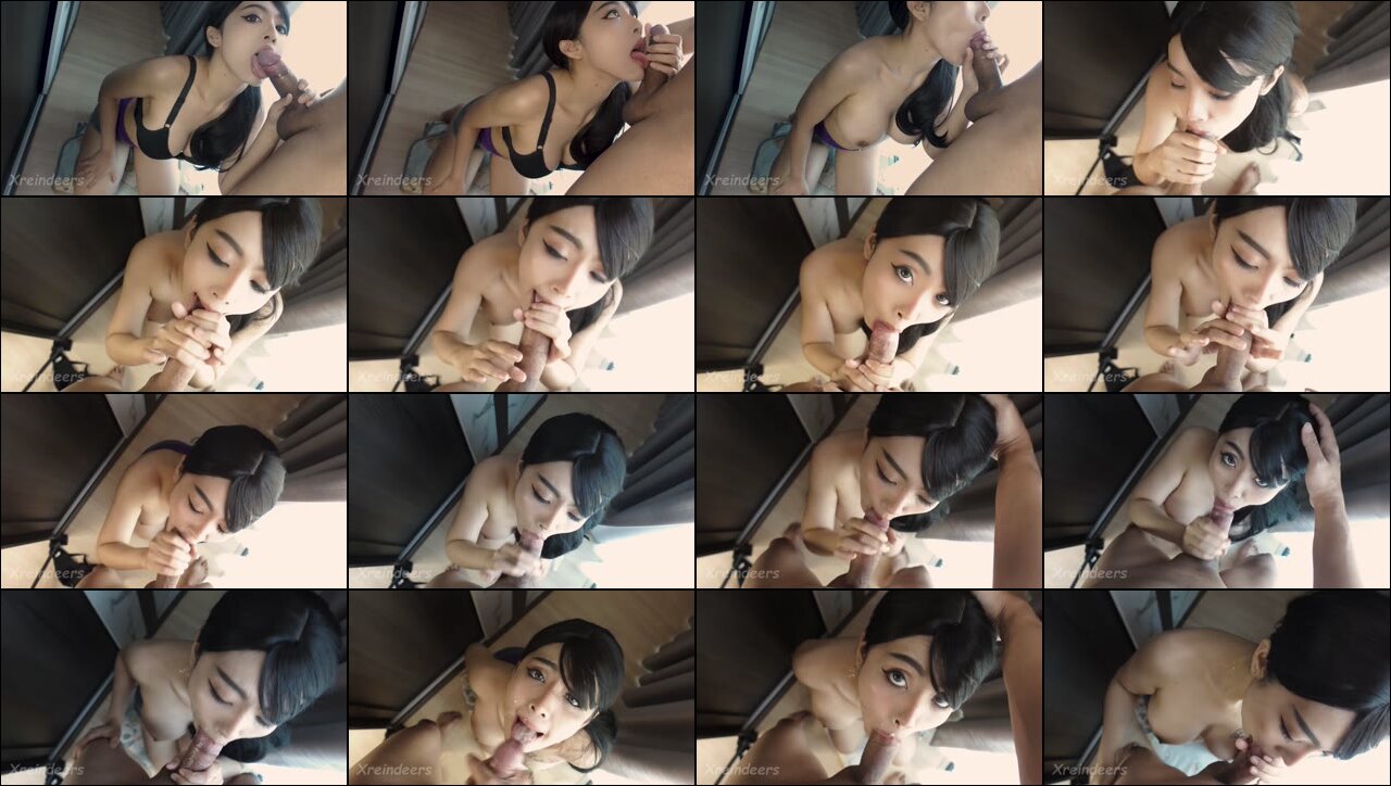 Xreindeers sepong telan sperma