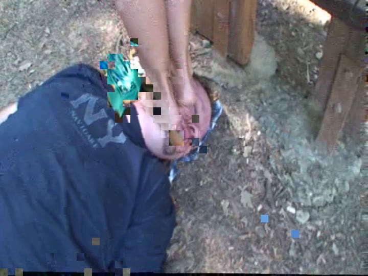 mbrmytr29